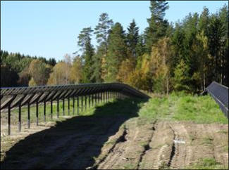 Markställning i solpark